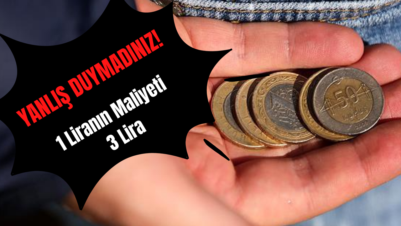 Türkiye'de Ekonomi Bu Şekilde Açıklandı: "1 Liranın Maliyeti 3 Lira"